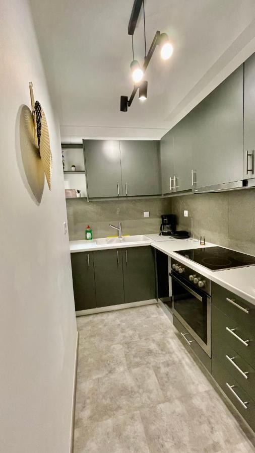 Gorgeous Renovated Apt. Close To Metro And Cultural Sites! Atene Esterno foto